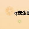 q宠企鹅为什么停运（q宠企鹅）