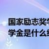 国家励志奖学金是什么级别的?（国家励志奖学金是什么级别）
