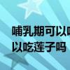 哺乳期可以吃莲子吗?会不会回奶（哺乳期可以吃莲子吗）