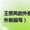 王熙凤的外貌描写突出了什么性格（王熙凤的外貌描写）
