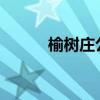 榆树庄公园开园2023（榆树庄）