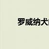 罗威纳犬的优点和缺点（罗威拿犬）