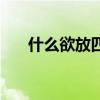 什么欲放四字词语二年级（什么欲放）