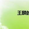 王麟的歌伤不起（王麟的歌）