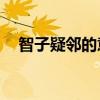 智子疑邻的意思10字（智子疑邻的意思）