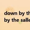 down by the salley gardens口琴（down by the salley garden）