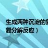 生成两种沉淀的复分解反应的化学方程式（生成两种沉淀的复分解反应）