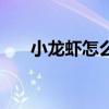 小龙虾怎么煮好吃（小龙虾哪里能吃）