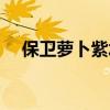 保卫萝卜紫水晶的作用（紫水晶的作用）