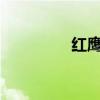 红鹰due（红鹰gm论坛）