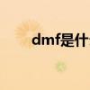 dmf是什么化学材料（dmf是什么）
