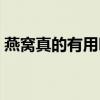 燕窝真的有用吗权威回答（燕窝真的有用吗）