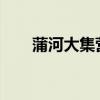 蒲河大集营业时间2023（蒲河大集）