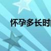 怀孕多长时间有胎动（多长时间有胎动）