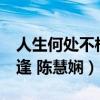 人生何处不相逢 陈慧娴DJ版（人生何处不相逢 陈慧娴）