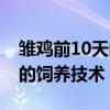 雏鸡前10天的饲养技术开口药(雏鸡前10天的饲养技术) 雏鸡前10天的饲养技术开口药(雏鸡前10天的饲养技术)