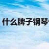 什么牌子钢琴性价比高（什么钢琴性价比高）