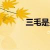 三毛是男还是女（三毛是女的）