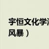 宇恒文化学海风暴答案2020（宇恒文化学海风暴）