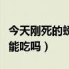 今天刚死的螃蟹能吃吗视频（今天刚死的螃蟹能吃吗）