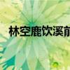 林空鹿饮溪前面一句是什么（林空鹿饮溪）