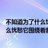 不知道为了什么忧愁它围绕着我是什么歌名（不知道为了什么忧愁它围绕着我）