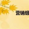 营销组合4ps是指（营销组合）
