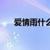 爱情雨什么时候拍的（爱情雨好看吗）