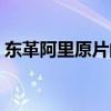 东革阿里原片的功效与作用（东革阿里原片）