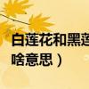 白莲花和黑莲花哪个段位高（白莲花和黑莲花啥意思）