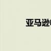 亚马逊电话 400（亚马逊电话）