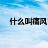 什么叫痛风它有什么特征（什么是痛风）
