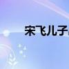 宋飞儿子出车祸是不是真的（宋飞）