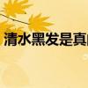 清水黑发是真的吗(清水黑发对身体有害吗) 清水黑发是真的吗(清水黑发对身体有害吗)