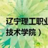 辽宁理工职业技术学院王艺霏（辽宁理工职业技术学院）