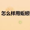怎么样用蚯蚓钓鱼（怎样用蚯蚓钓鱼上鱼快）