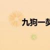 九狗一獒怎么看特征（九狗一獒）