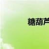 糖葫芦新奇做法（thl糖葫芦）