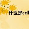 什么是cdkey兑换码（什么是cdkey）