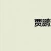 贾鹏芳二泉映月（贾鹏芳）