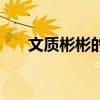 文质彬彬的仪表（文质彬彬仪表堂堂）