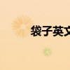 袋子英文怎么读发音（袋子英文）