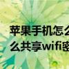 苹果手机怎么共享wifi密码视频（苹果手机怎么共享wifi密码）