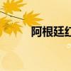 阿根廷红纹石价格（红纹石价格）