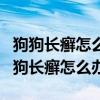 狗狗长癣怎么办土方子可以用高锰酸钾吗（狗狗长癣怎么办）
