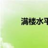 满楼水平现在在干嘛（满楼水平）
