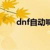 dnf自动喊话的宠物（dnf自动喊话）