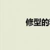 修型的籽料为什么便宜（修型）