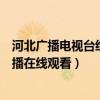 河北广播电视台经济频道在线观看（河北电视台经济频道直播在线观看）