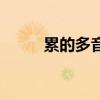 累的多音字组词（乘多音字组词）